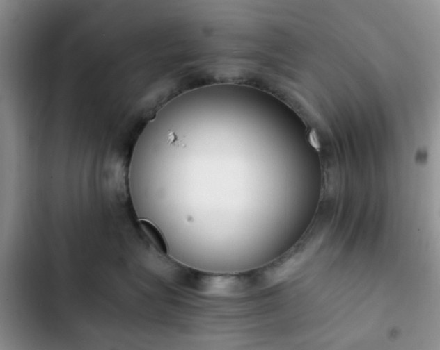 X0000102760575200808251031