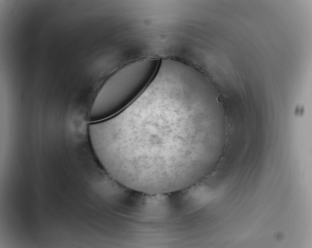 X0000102760576200808251031