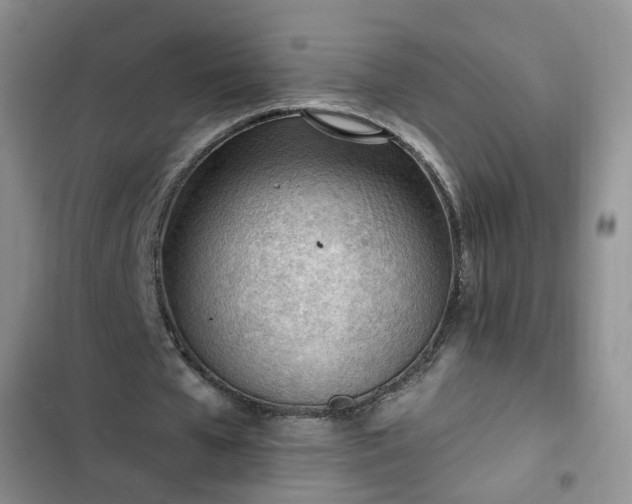 X0000102760577200808251030