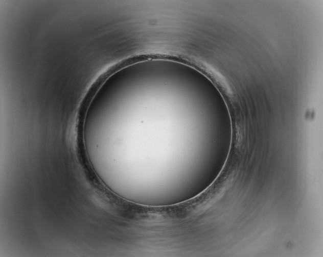 X0000102760580200808251030