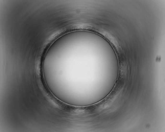 X0000102760581200808251030