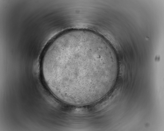 X0000102760584200808251030