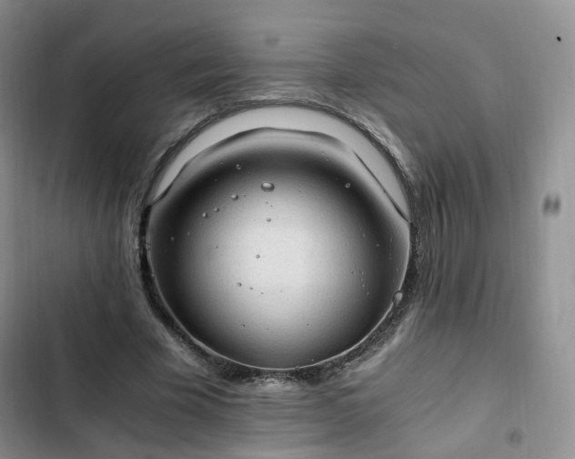 X0000102760585200808251030