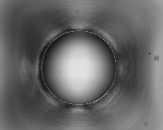 X0000102760586200808251030