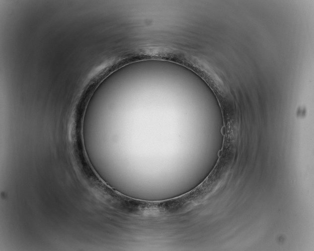 X0000102760587200808251030