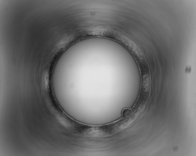 X0000102760589200808251030