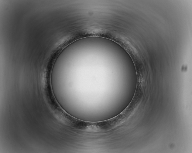 X0000102760591200808251030