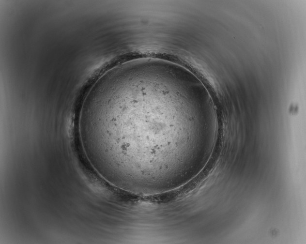 X0000102760592200808251030