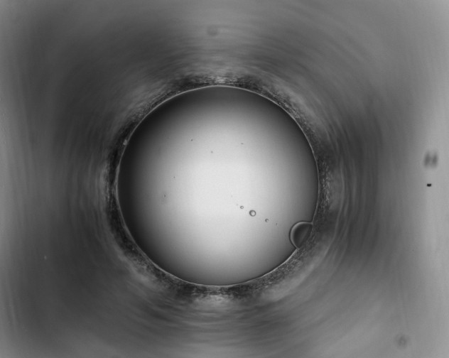 X0000102760594200808251030