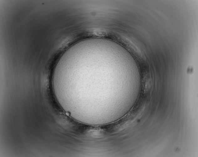 X0000102760595200808251030