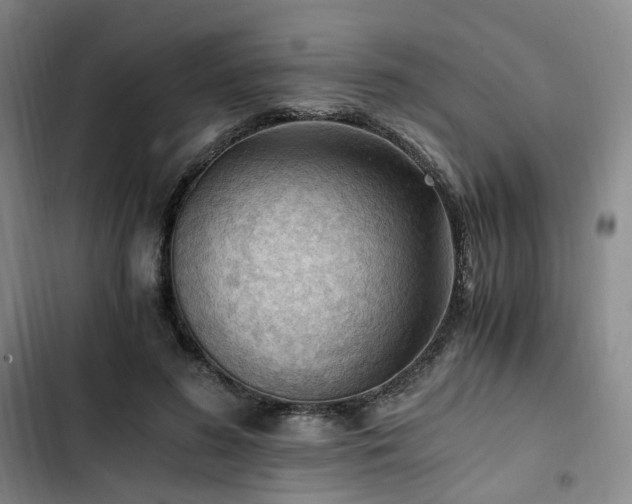 X0000102760596200808251030