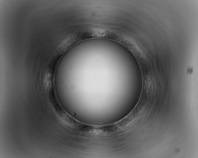 X0000102760598200808251030