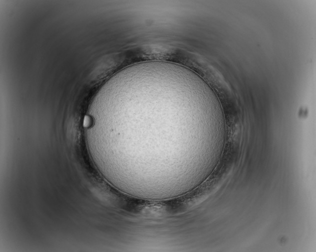 X0000102760599200808251030