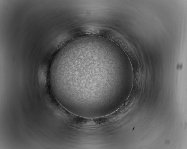 X0000102760600200808251030