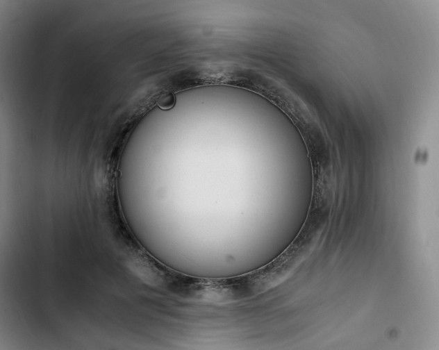 X0000102760601200808251030