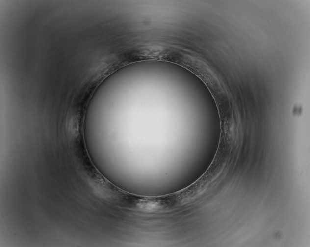 X0000102760602200808251030