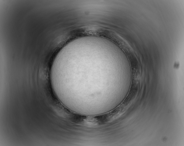 X0000102760603200808251030