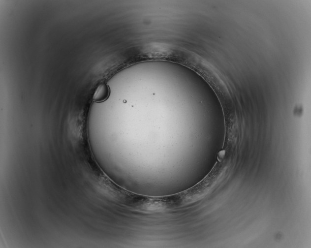 X0000102760604200808251030