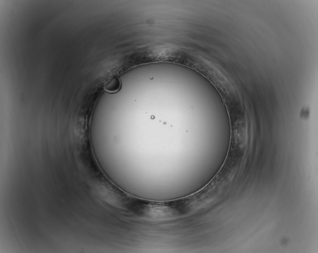 X0000102760605200808251030