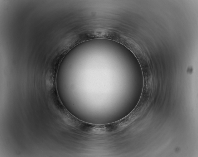 X0000102760606200808251030