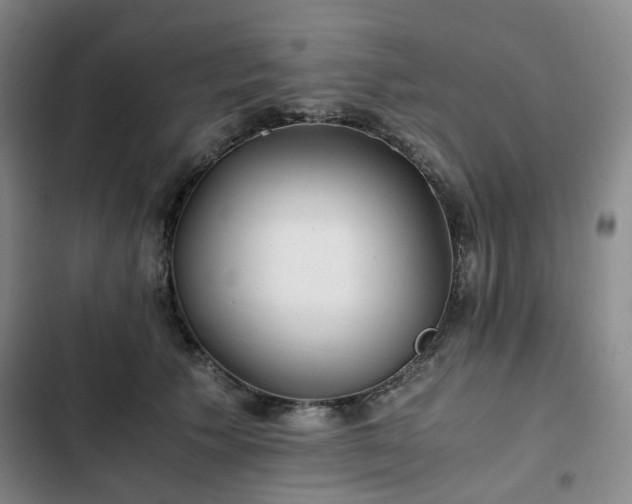 X0000102760609200808251030