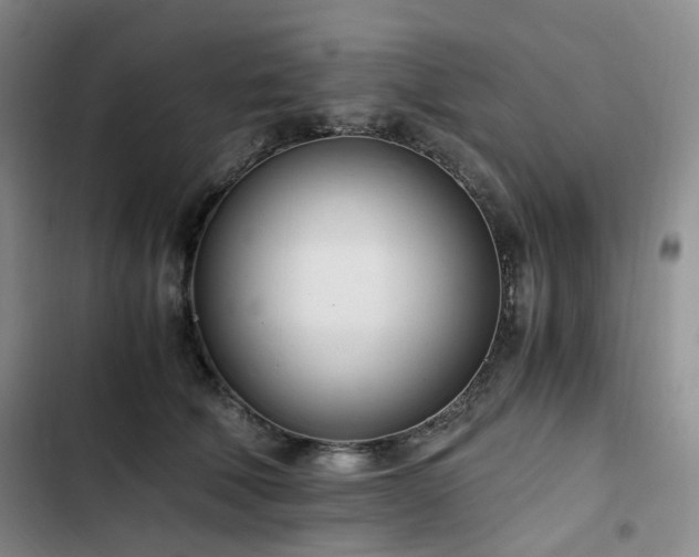 X0000102760610200808251030