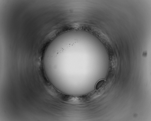 X0000102760611200808251030