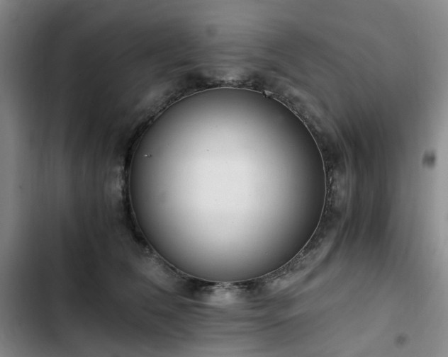 X0000102760612200808251030