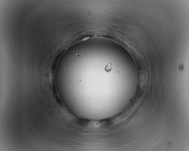 X0000102760613200808251030