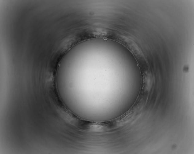 X0000102760614200808251030