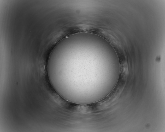 X0000102760615200808251030