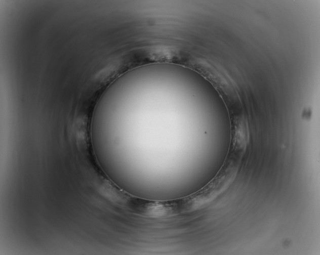 X0000102760616200808251030