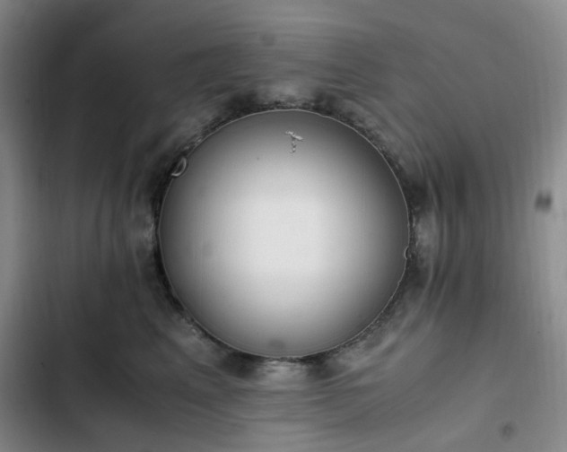 X0000102760617200808251030