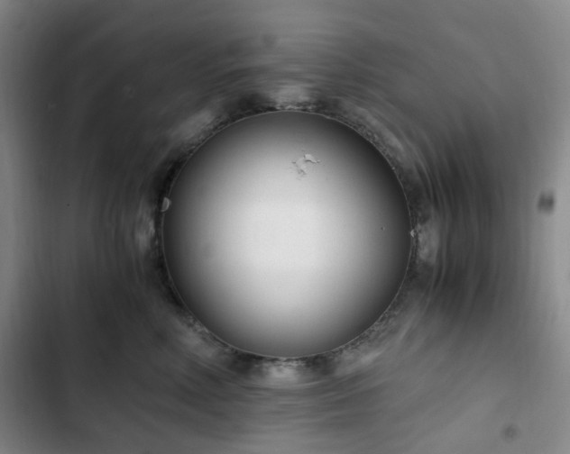 X0000102760618200808251030