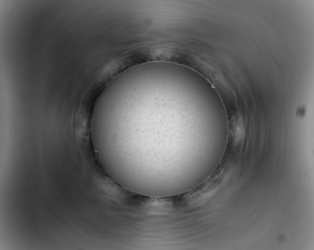 X0000102760619200808251029