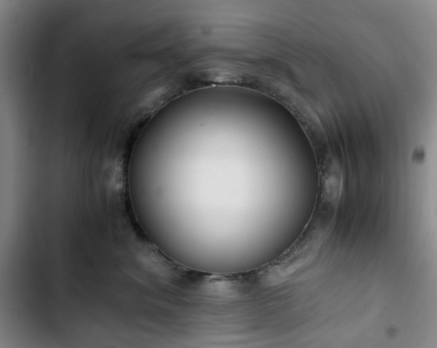 X0000102760620200808251029