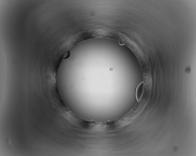 X0000102760621200808251029