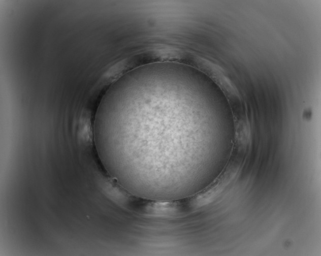 X0000102760622200808251029