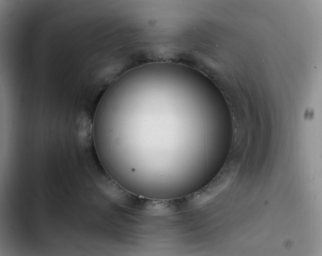 X0000102760624200808251029