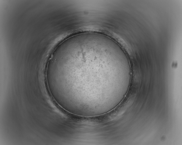 X0000102760625200808251029