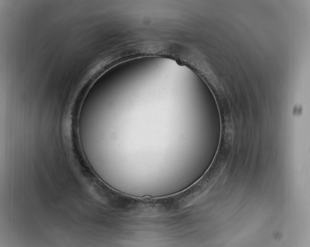 X0000102760626200808251029