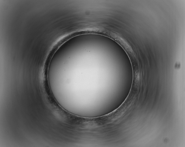 X0000102760628200808251029