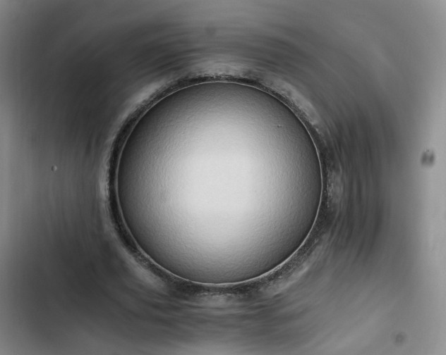 X0000102760629200808251029