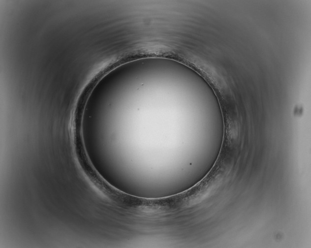 X0000102760630200808251029