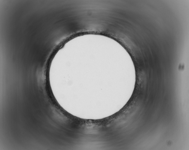 X0000102760632200808251029