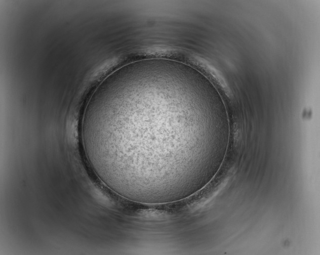 X0000102760633200808251029