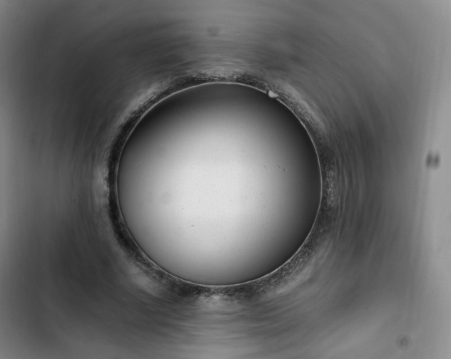 X0000102760634200808251029