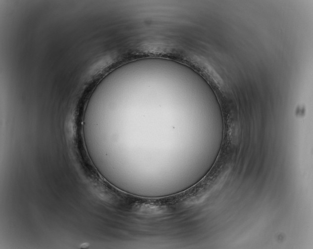 X0000102760635200808251029