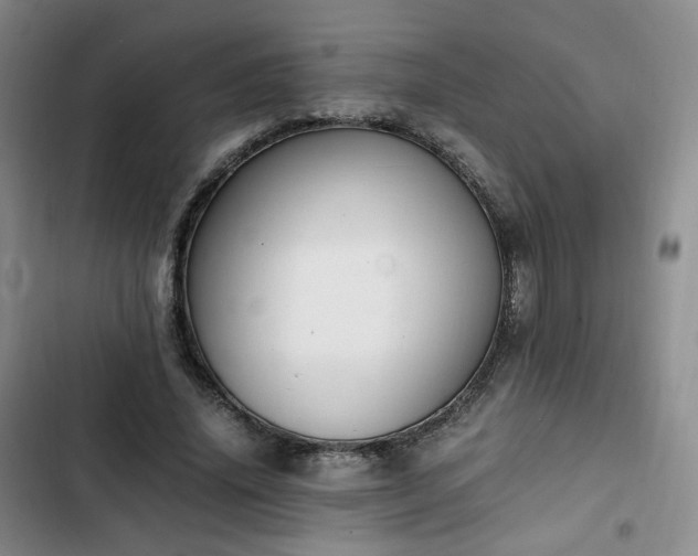 X0000102760636200808251029