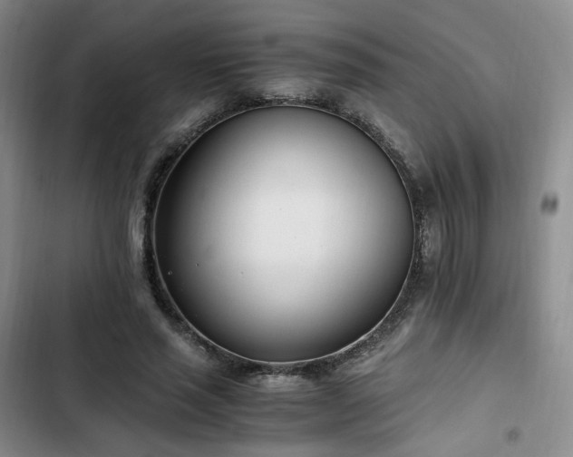 X0000102760637200808251029